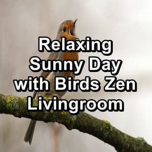 Relaxing Sunny Day with Birds Zen Livingroom - Bird Sounds
