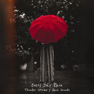 Every Day Rain - Thunder Storms & Rain Sounds