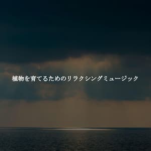 植物を育てるためのリラクシングミュージック - Música para Centros Comerciales