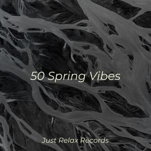 50 Spring Vibes - Musica para Meditar