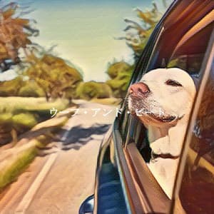 ウーフ・アンド・ビート - Jazz Ambiance