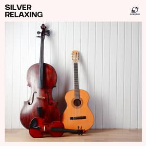 Silver Relaxing: Relaxing Jazz Sounds - Smooth Jazz Zone