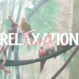 Exotic Relaxation - Ambient Nature Sounds Straight from the Depths of the Jungle, Tropical Birds, Ocean Waves and Rain, Wild River, Colors and Smells, Waterfall - Nature Sounds Artists