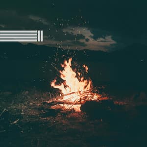 Lagerfeuer und Waldgeräusche - Feuergeräusche