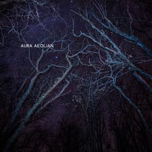 Veins of Velvet Midnight - Aura Aeolian
