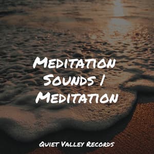 Meditation Sounds | Meditation - Relaxing Nature Ambience