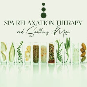 Spa Relaxation Therapy and Soothing Music of Nature for Zen State of Mind - Nature Music Pregnancy Academy
