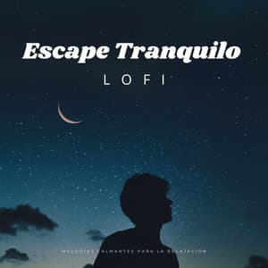 Escape Tranquilo Lofi: Melodías Calmantes Para La Relajación - Lofiwaala