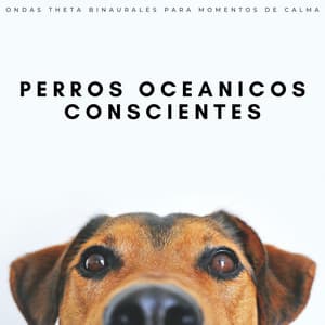 Perros Oceanicos Conscientes: Ondas Theta Binaurales Para Momentos De Calma - Contacto Binaural