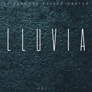 Lluvia: El Hermoso Pájaro Cantor Vol. 1 - Lloviendo Relajante