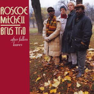 After Fallen Leaves - Roscoe Mitchell