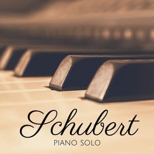Schubert: Piano Solo - Franz Schubert