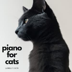 Lonely Cats - Piano for cats