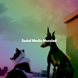Social Media Muzzled - Atmospheric Coffee House Music