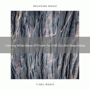 2021 New: Calming White Noise Of Forest For Chill Out And Deep Sleep - Ocean Sounds White Noise For Sleep