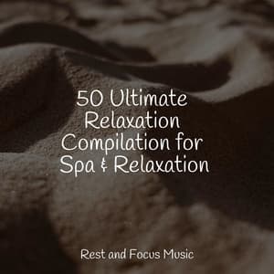 50 Ultimate Relaxation Compilation for Spa & Relaxation - Academia de Música para Massagem e Relaxamento