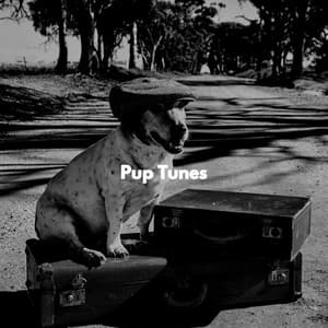 Pup Tunes - Dog Sleeping Soundtracks Deluxe