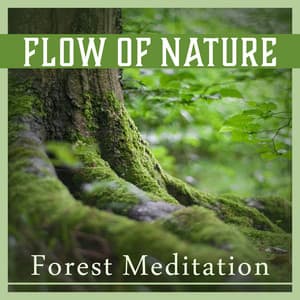 Flow of Nature – Forest Meditation: Constant Mindfulness, Blissful Unity, Mental Oasis, Tranquil Sounds, Heal Your Soul - Zen Natural Sounds