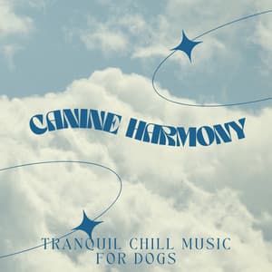 Canine Harmony: Tranquil Chill Music for Dogs - Korean Chill