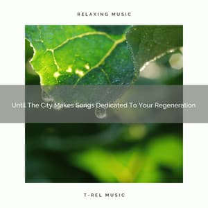 Until The City Makes Songs Dedicated To Your Regeneration - The White Noise Zen & Meditation Sound Lab