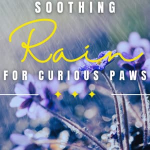 Rain's Canine Serenity: Soothing Rainfall - Let It Rain