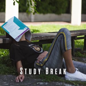 Study Break: Lofi Vibes with Ambient Sounds for Restful Mindfulness - Lofi Study