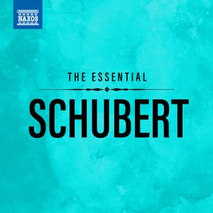 The Essential Schubert - Franz Schubert