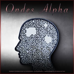 Ondes Alpha: Musique D'Ambiance pour La Concentration, La concentration, L'Apprentissage et La Lecture de Fond - Ondes Alpha