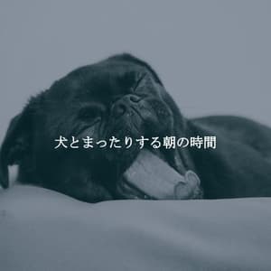 犬とまったりする朝の時間 - Work Music