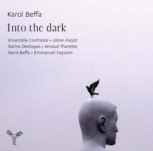 Karol Beffa: Into the Dark - Karol Beffa