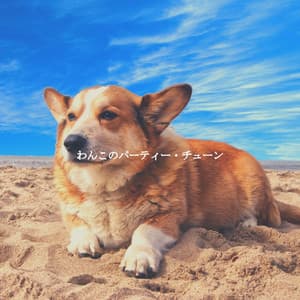 わんこのパーティー・チューン - Background Restaurant Lounge Music