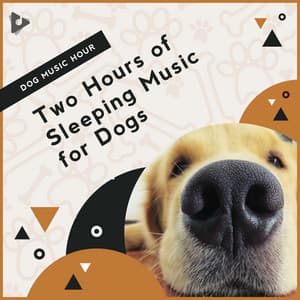 2 Hours of Sleeping Music for Dogs - Dog Music Hour