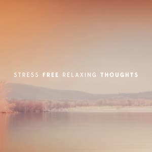 Stress Free Relaxing Thoughts - Mitch Lerunesh