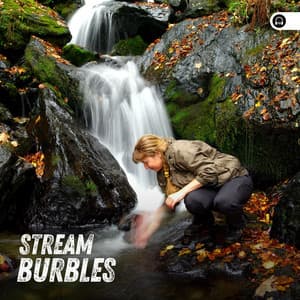 Stream Burbles - Water Meditations
