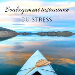 Soulagement instantané du stress: Émotions négatives de désintoxication, Musique de sommeil calme - Club de Méditer de Détendre
