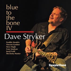 Blue To The Bone IV - Dave Stryker