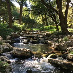 Sueño Tranquilo Del Agua: Armonía De Ritmos Binaurales - Biblioteca del Sueño