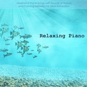 Relaxing Piano - Meditative Piano Songs with Sounds of Nature - Romantic Piano Lady
