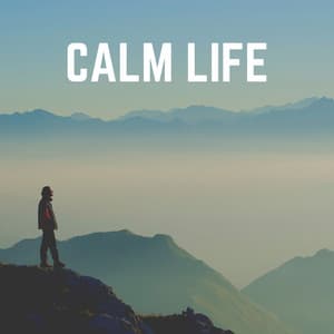 Calm Life - Zen