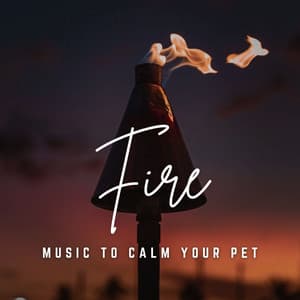 Music to Calm Your Pet: Firelight Harmony - Some Music