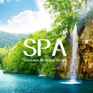 Spa Relaxation Meditation Dreams: Spa Nature Sounds Relaxation - Neuromancer