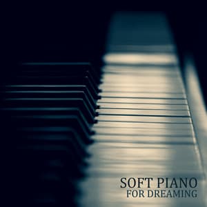 Soft Piano for Dreaming: Soothing Music to Fall Asleep & Relaxation - Piano Lounge Club