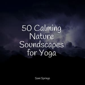 50 Calming Nature Soundscapes for Yoga - Yoga Sounds