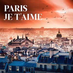 Paris je t'aime - L'Essentiel De La Chanson Française