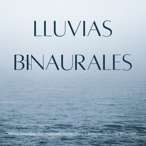 Ritmos Amigables Para Mascotas: Ondas Theta Y Armonías De Lluvias Binaurales - Beats binaurales MT