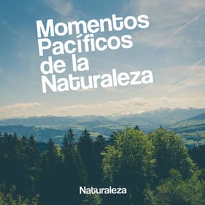 Momentos Pacíficos de la Naturaleza - Naturaleza