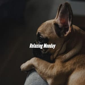 Relaxing Monday - Latin Jazz Vibes