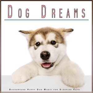 Dog Dreams: Background Happy Dog Music for Sleeping Pets - Dog Music Experience