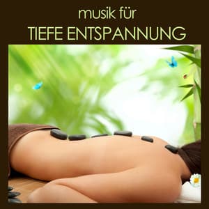 Musik für Tiefe Entspannung: Yoga, Spa, Wellness Musik - Meister der Entspannung und Meditation
