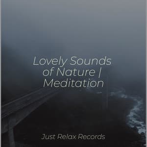 Lovely Sounds of Nature | Meditation - Musica Relajante